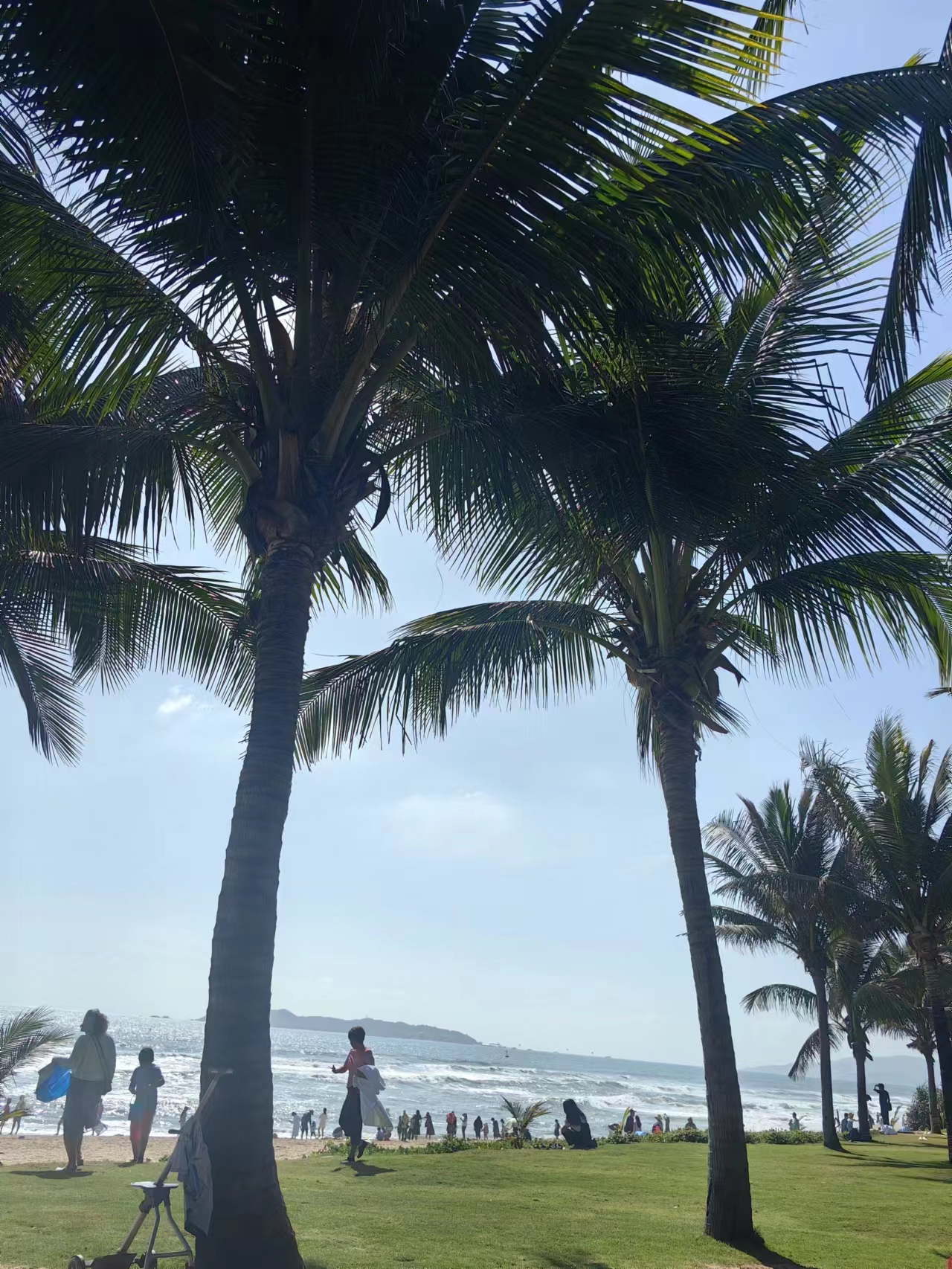 眼馋这海南的椰树软绵绵的沙滩一股夏天的气息扑面而来几张图片