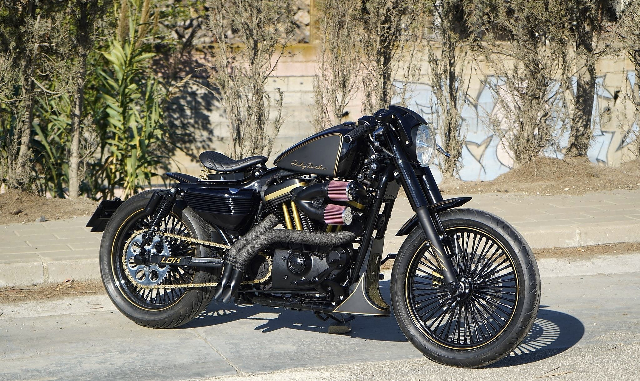 夜行者 哈雷sportster 1200改装欣赏