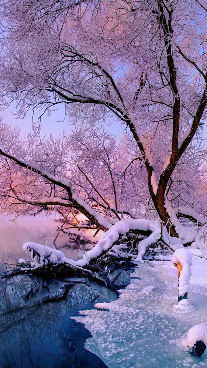 唐诗里空前绝后的一场雪,写尽诗人的一场旷世孤独,最终名扬天下