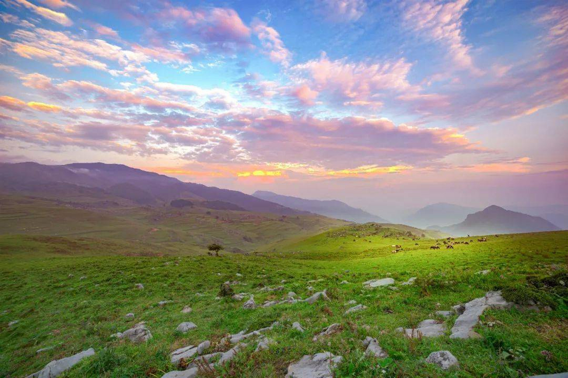 我的年度旅行记#马鹿寨,位于四川省攀枝花市米易县得石镇的马鹿寨