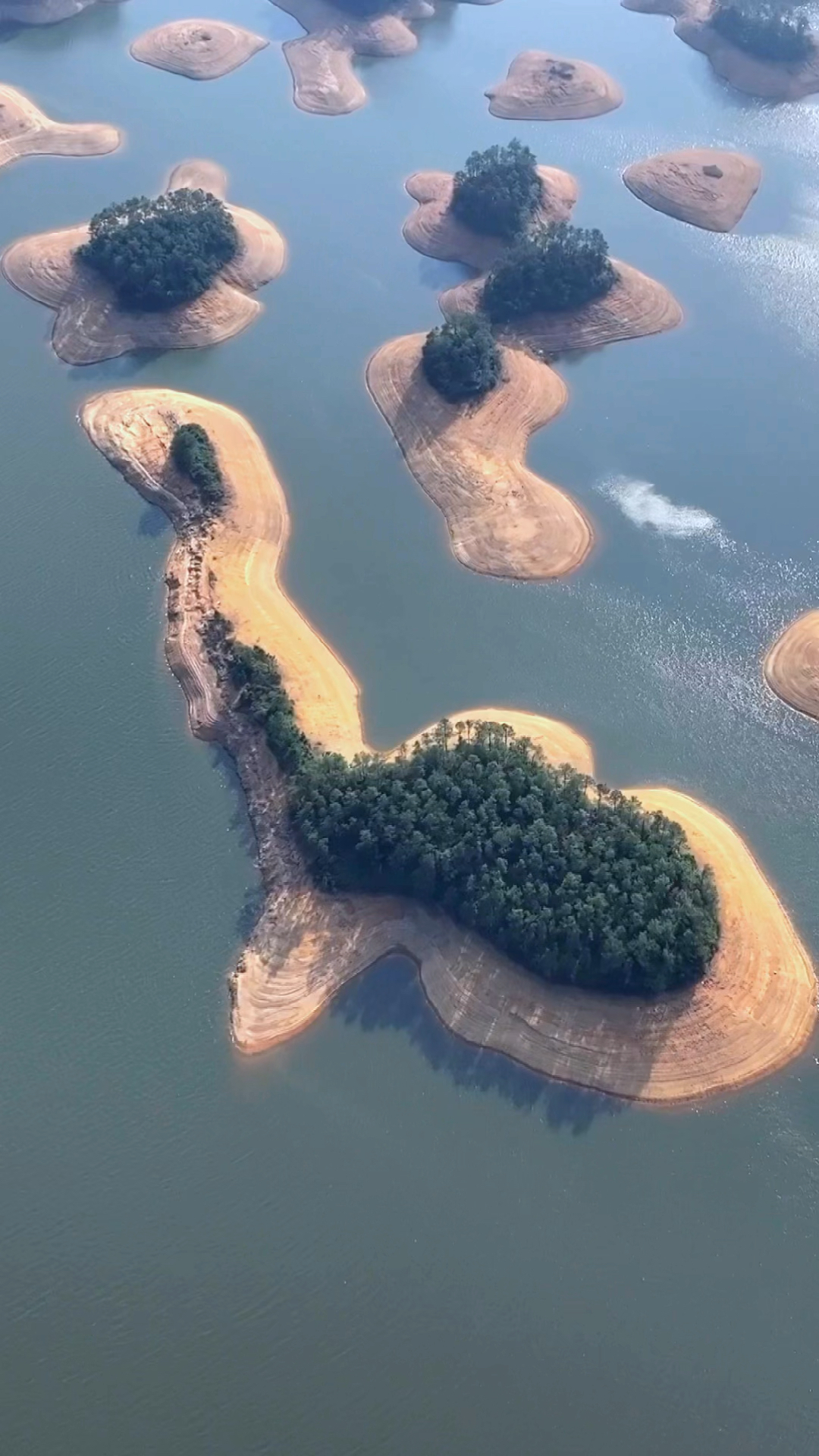 台山千岛湖生态园图片