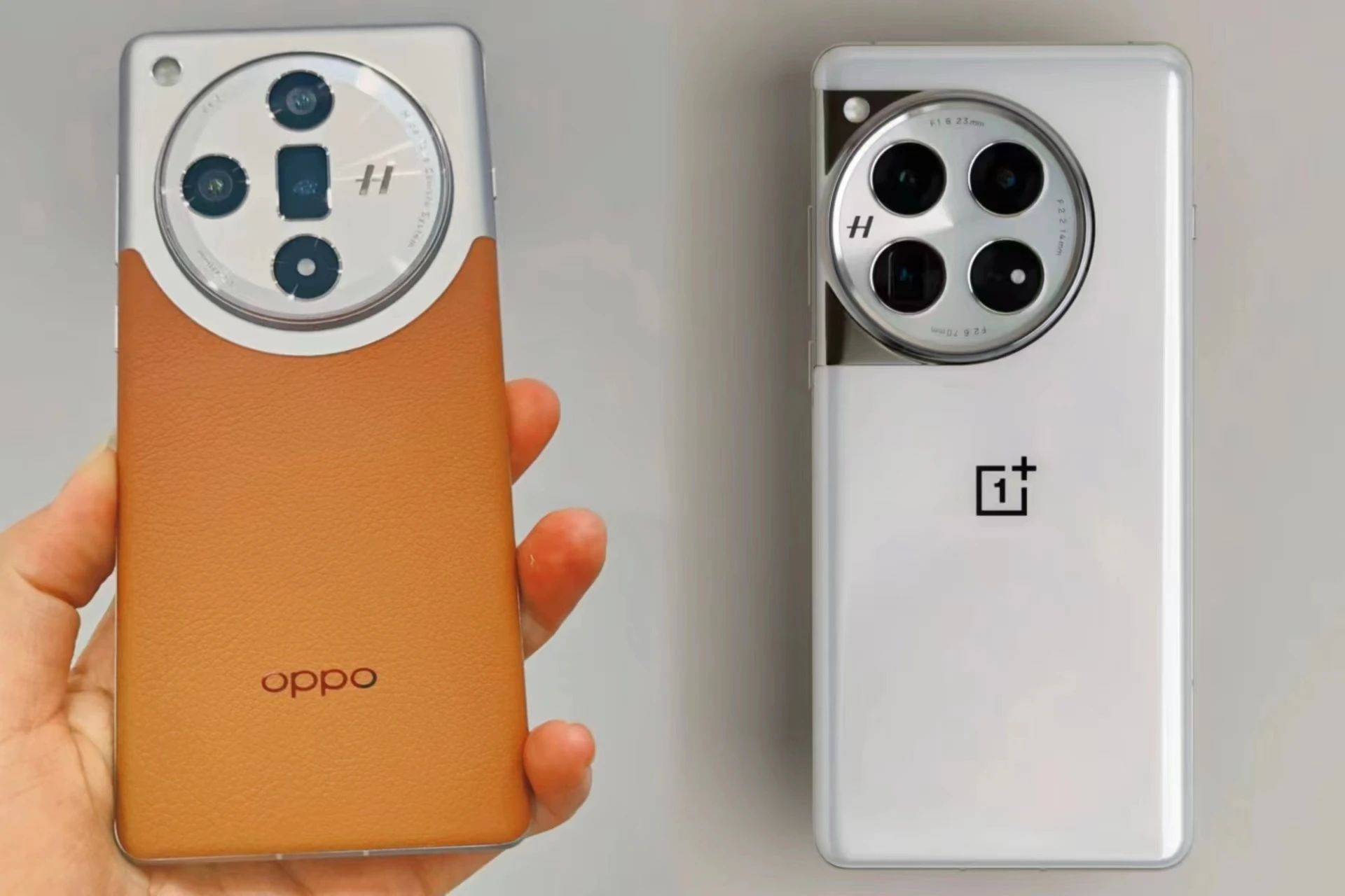 [原文:一加12和oppo fi.