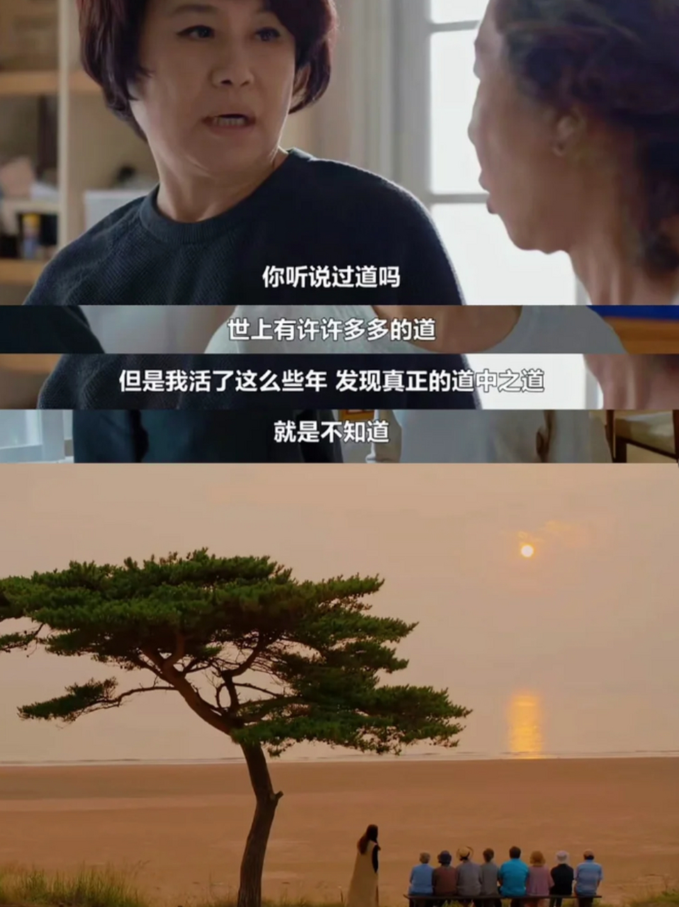 《我亲爱的朋友们》:真实,温暖,治愈的小世界