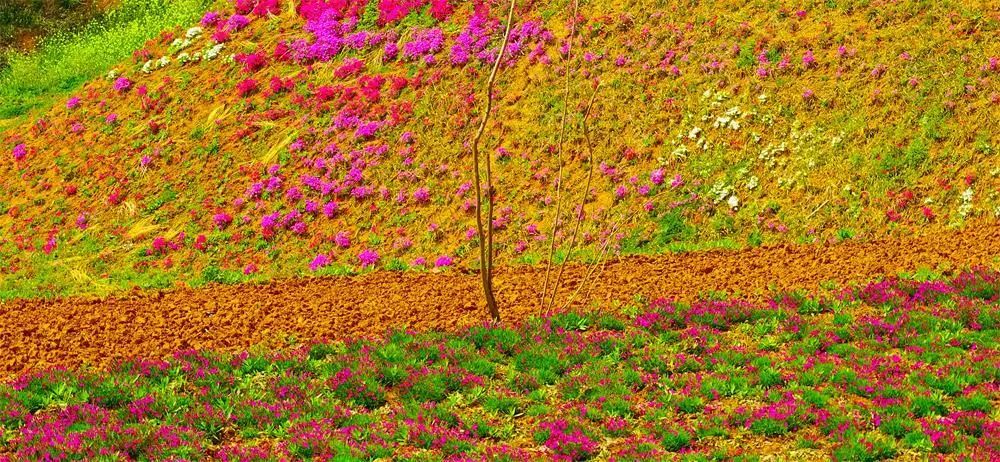 镇平遮山七彩沟景区图片