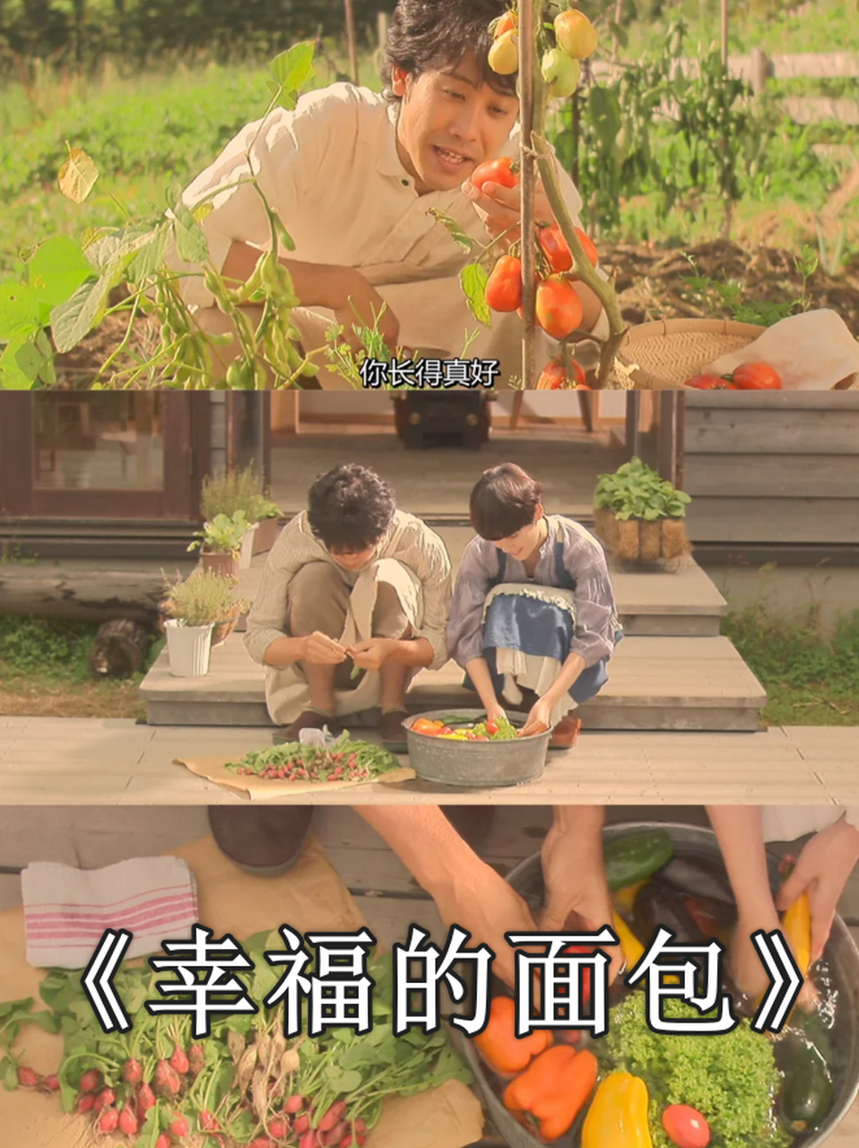 《幸福的面包》:日系治愈电影,温暖你的每一个瞬间  我刚刚看完了一部