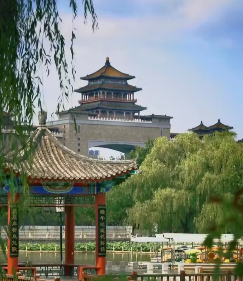 北京丰台莲花池公园令人醉