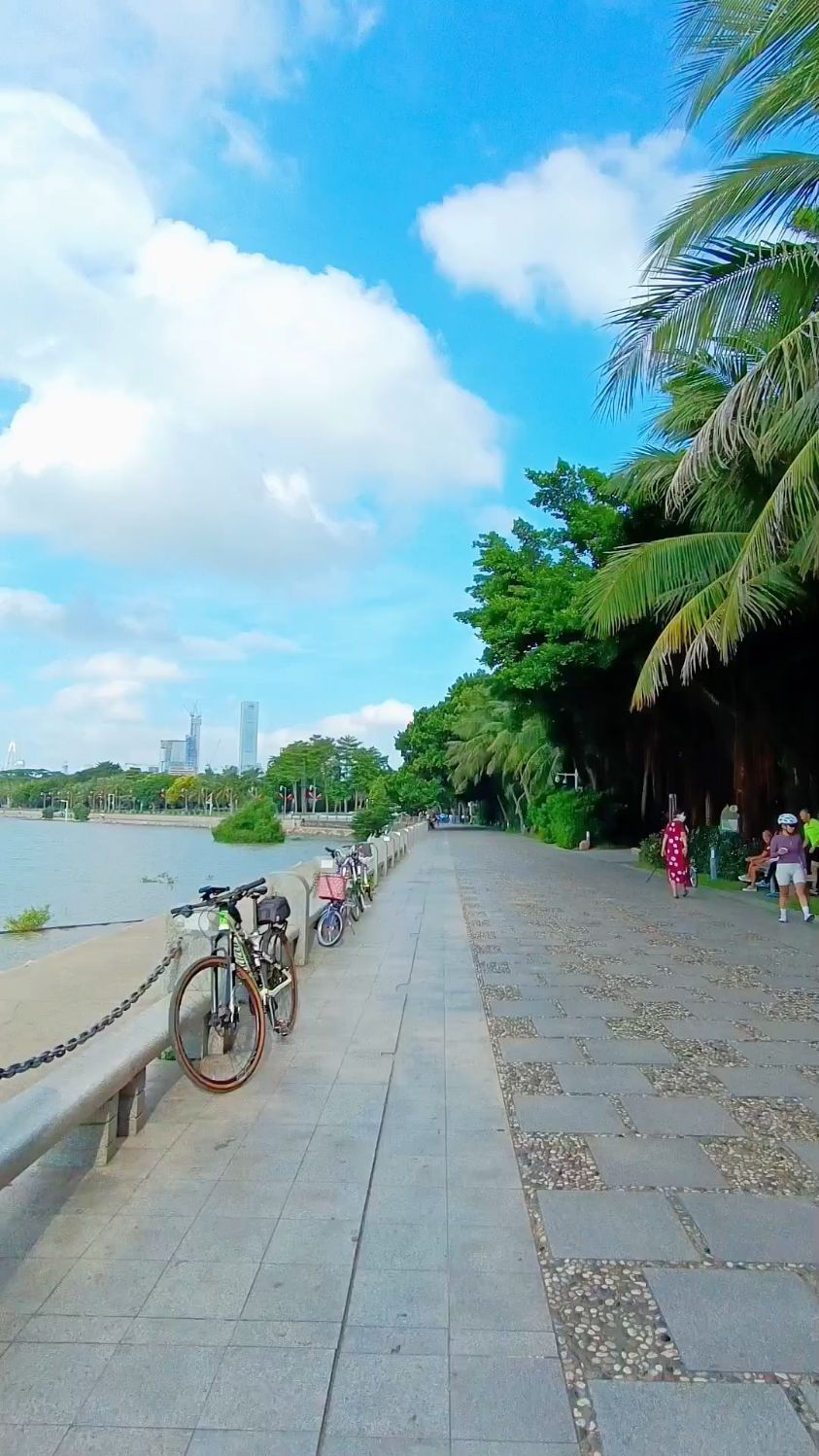 深圳湾美景图片