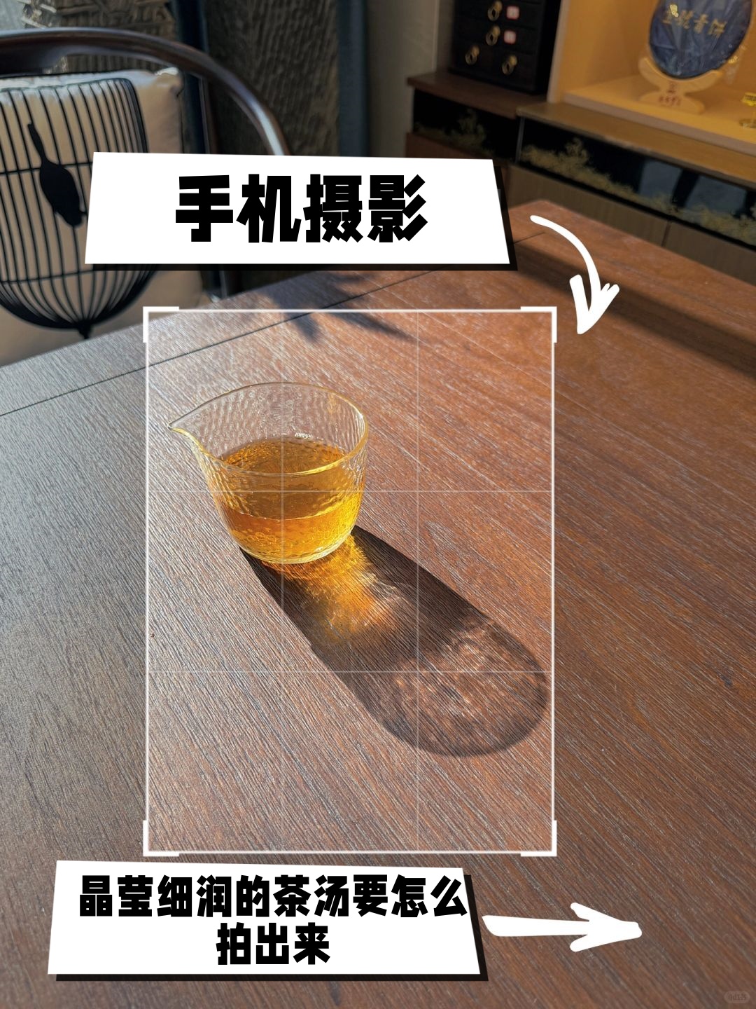 今天我教你们怎么把茶汤拍的清澈透明