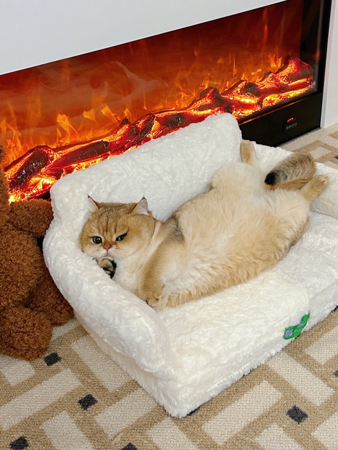 小猫咪悠闲地躺在沙发上,毫不费力地享受着舒适的生活