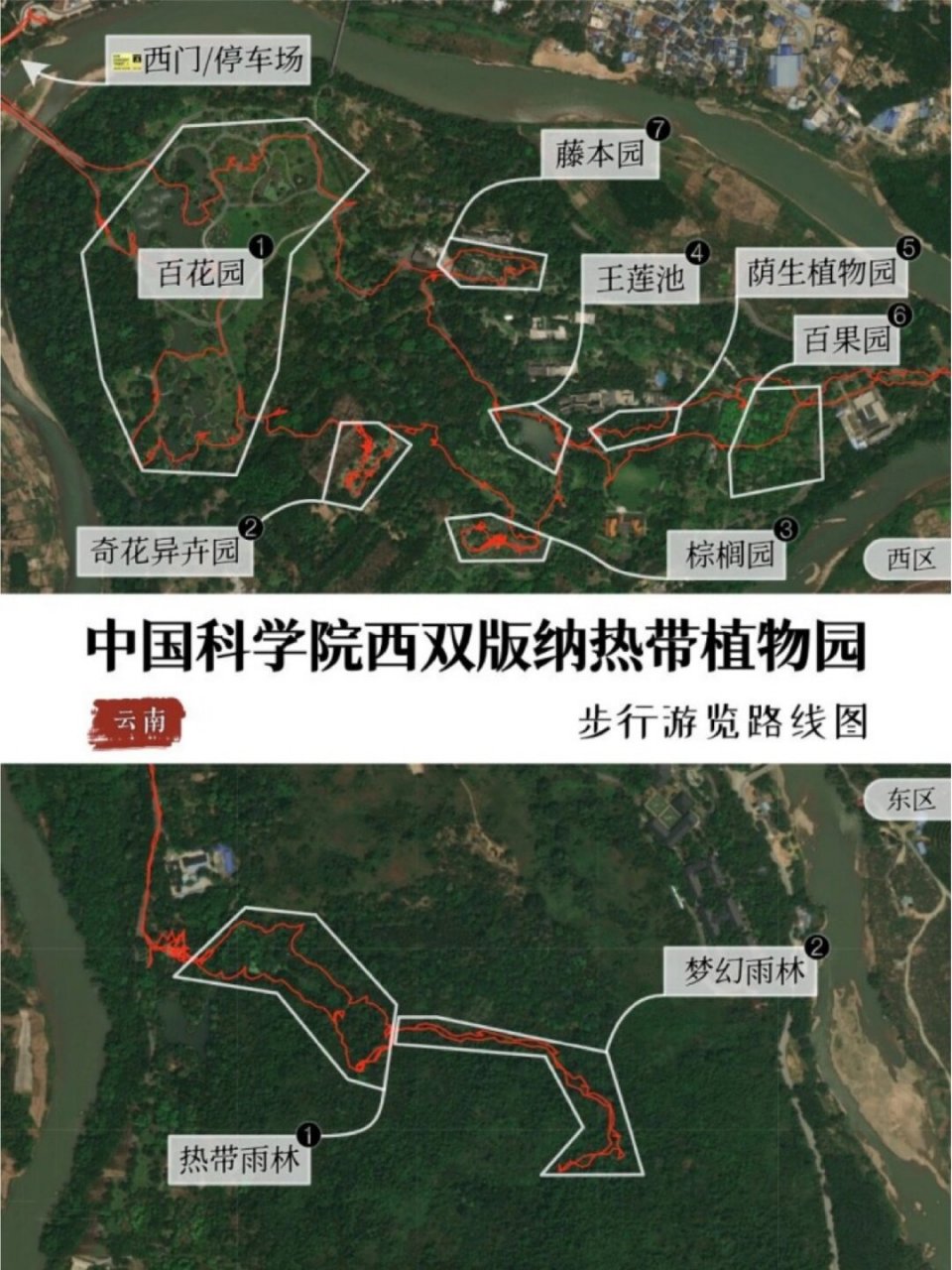 西双版纳植物园地图图片