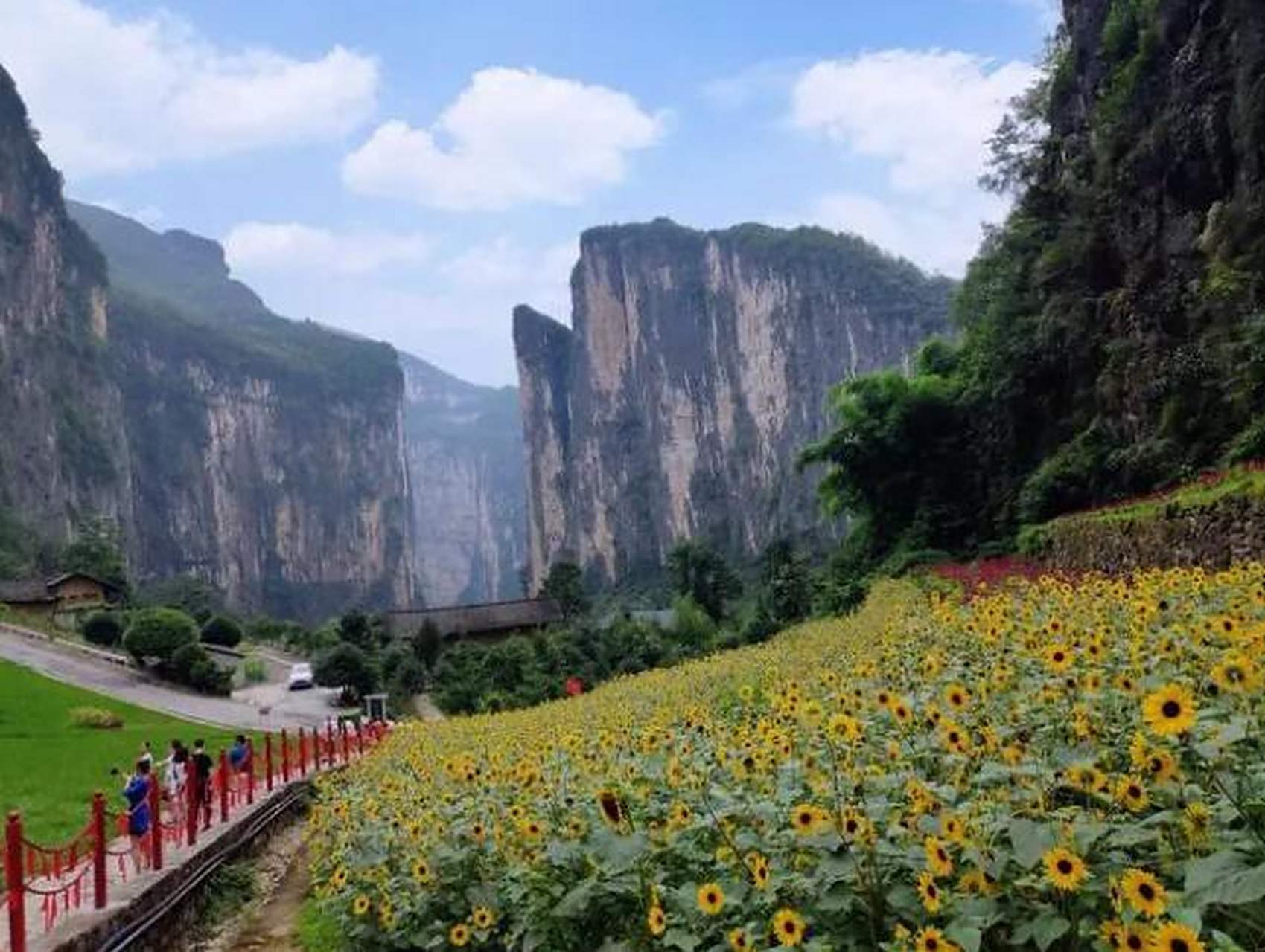 重庆奉节县南部重镇——兴隆镇,集镇又叫"三角坝",地处重庆和湖北两