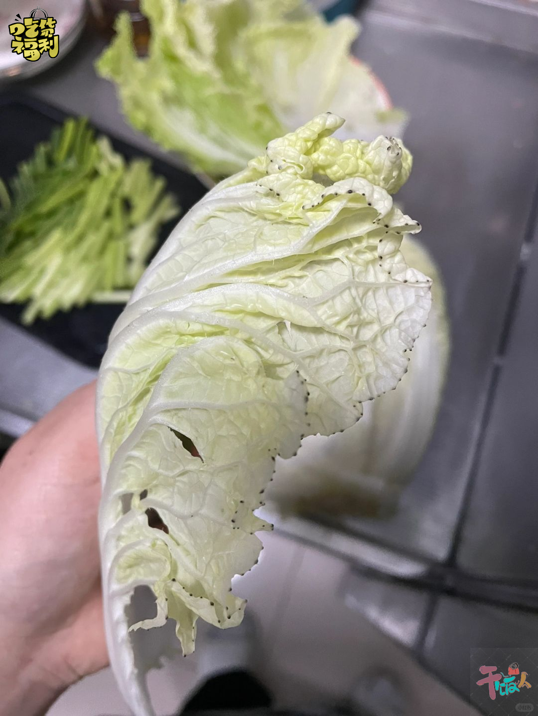哎呀妈呀我这颗大白菜可真是够有个性的
