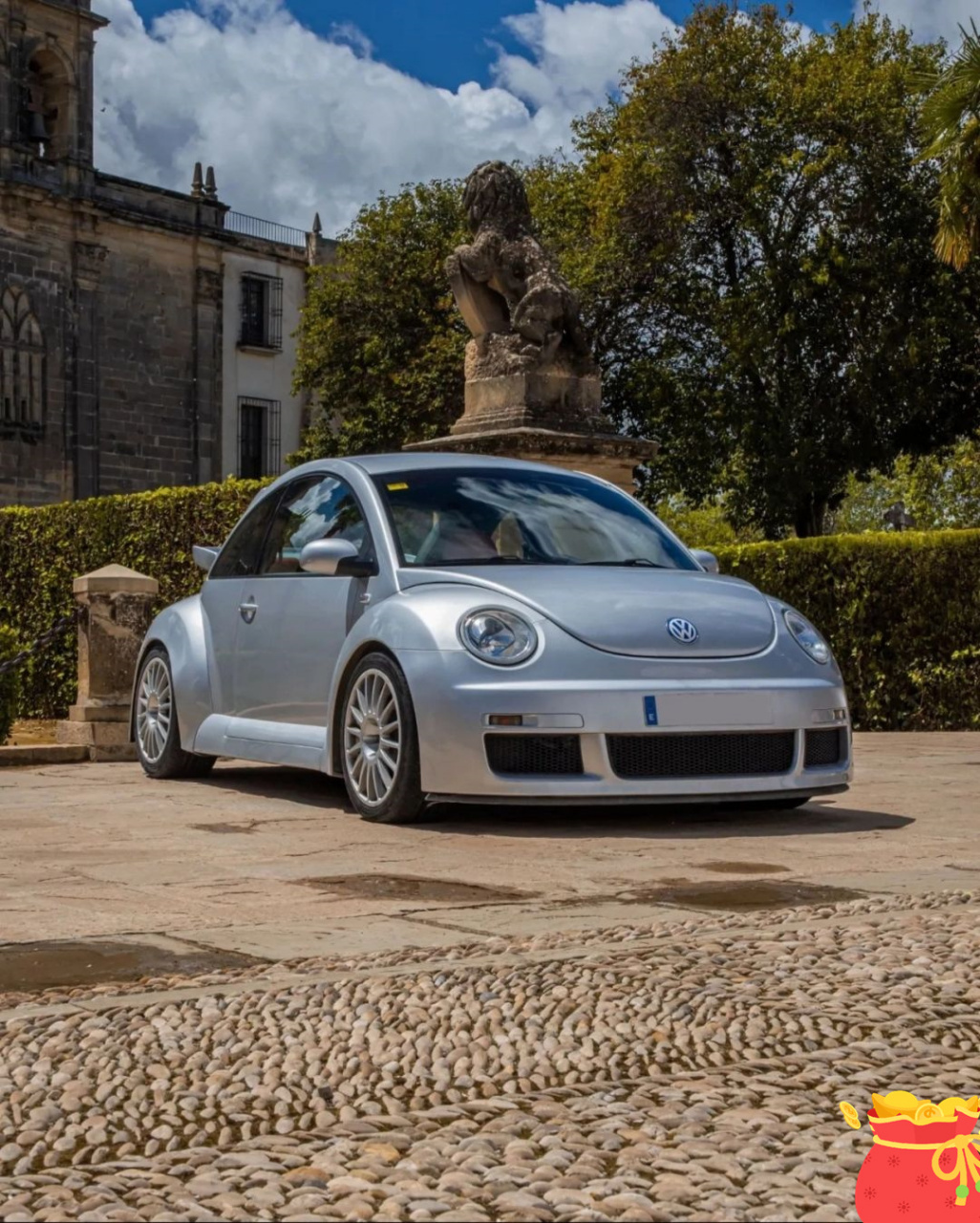 一款非常特别的甲壳虫——beetle rsi.