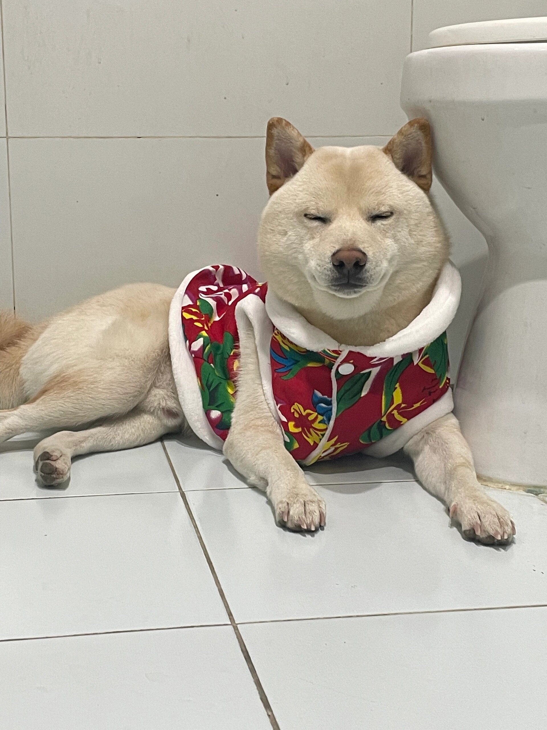 每逢佳节倍思亲,对我而言,每年过年都是一个与众不同的日子