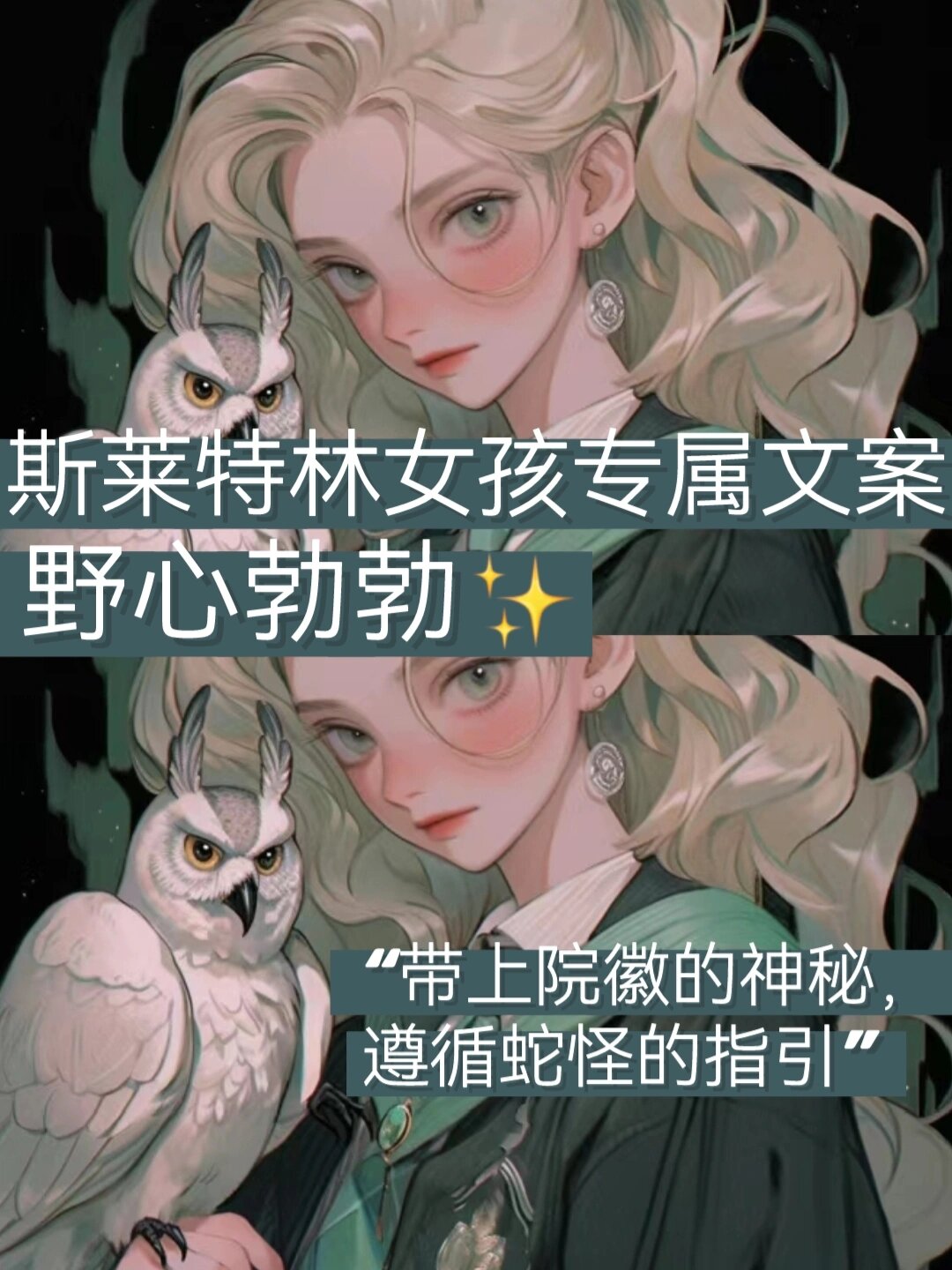斯莱特林女孩专属文案野心勃勃  斯莱特林的女孩,聪明,狡猾,野心勃勃
