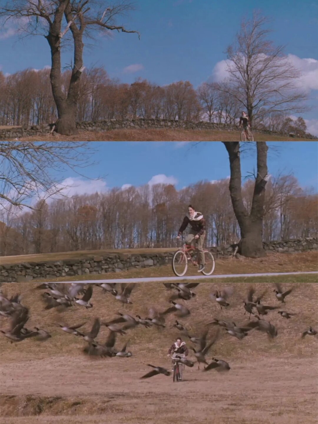 好遗憾呀快毕业了才看这部电影