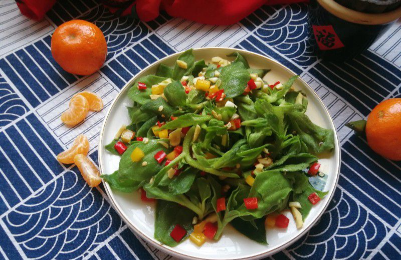 冰草菜的功效与作用 冰草菜,一.@大臣小视的动态