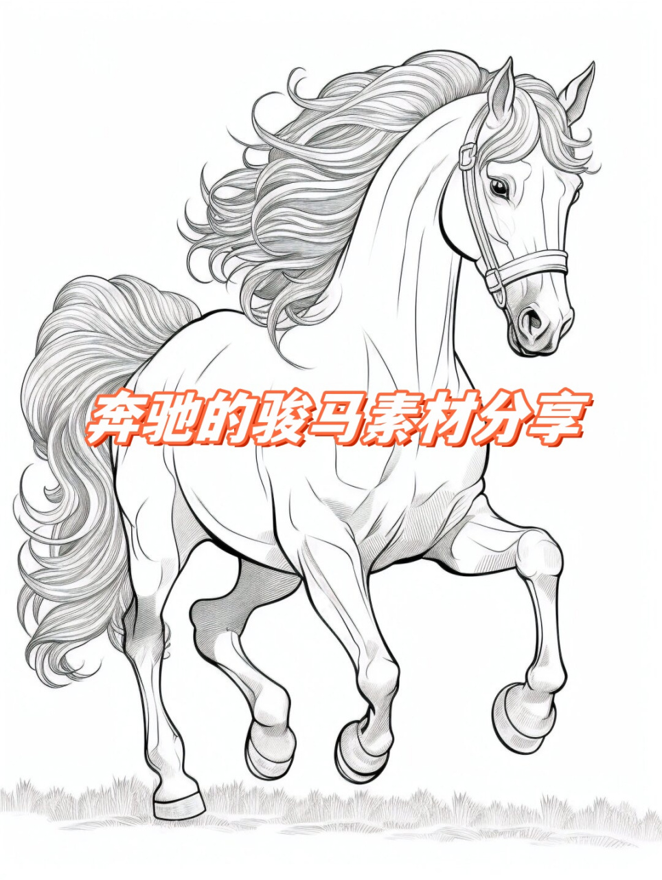 奔驰的骏马素材分享  奔驰的骏马,自由,激情与力量的象征,令人心驰