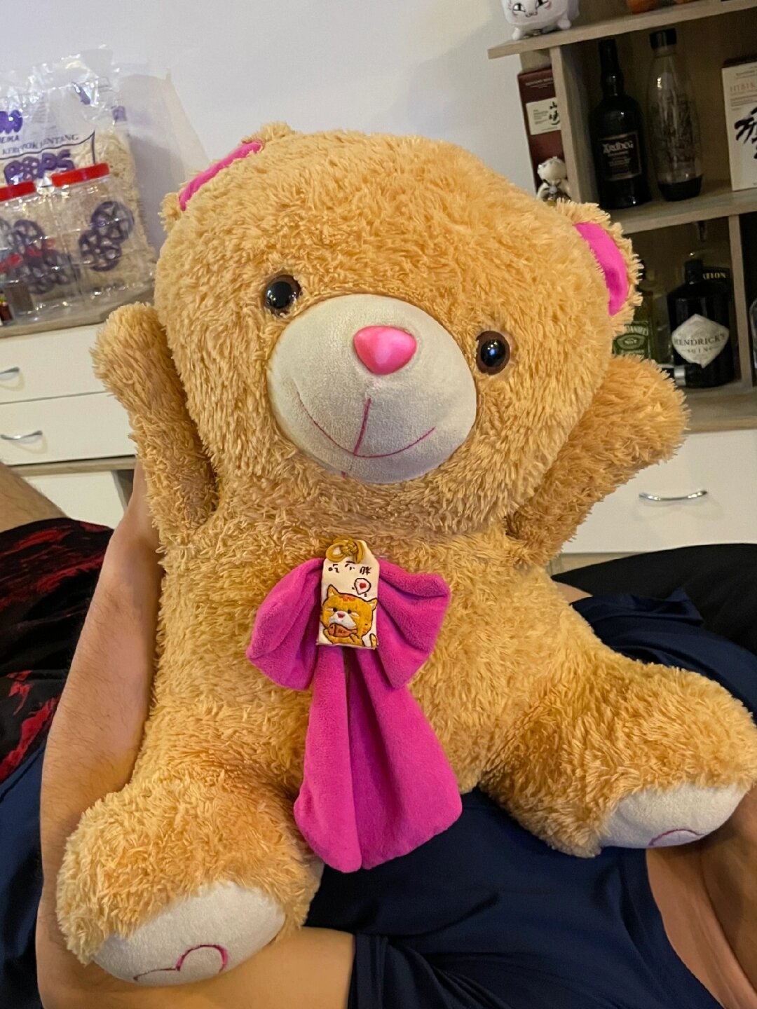 有一只名叫"傻仔"的小熊,它总是自诩为超级可爱