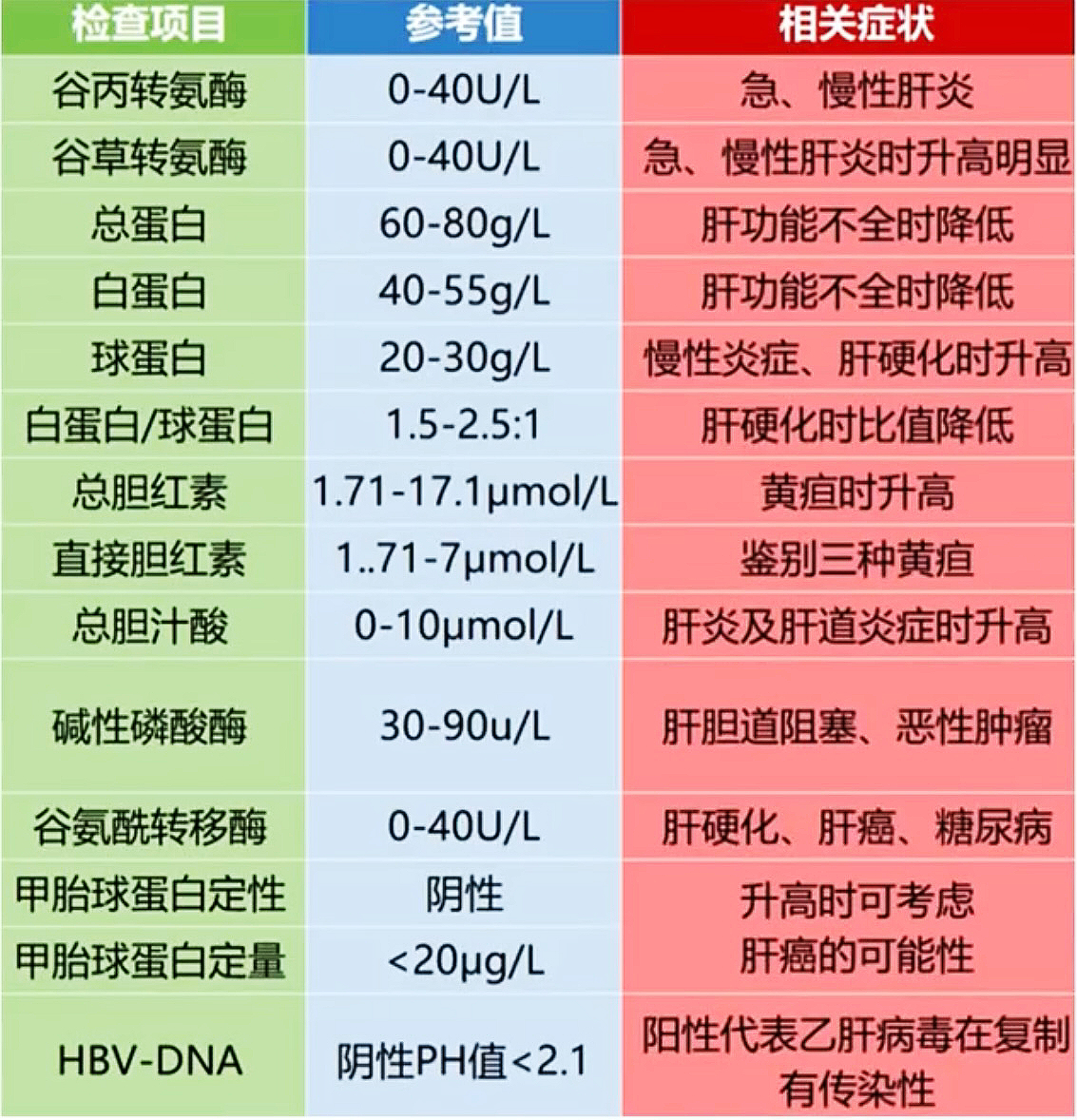 肝功能对照表参考值图图片