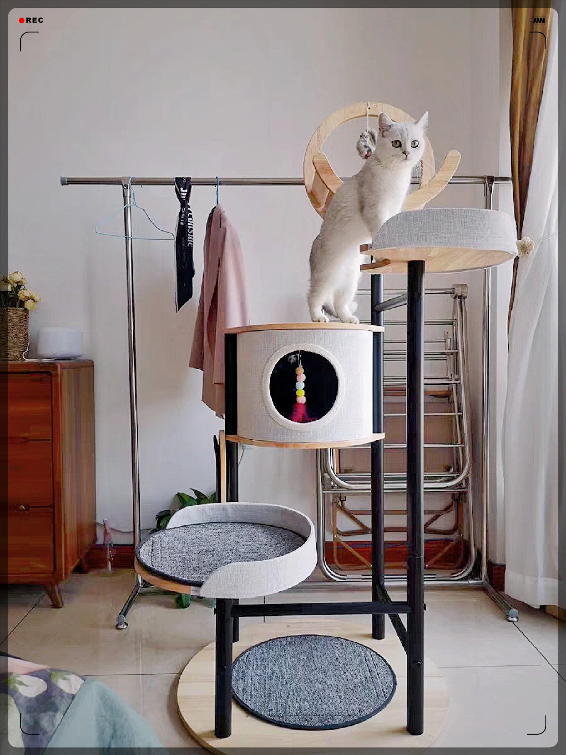 猫窝猫树一体设计,超级实用! #我要上热门