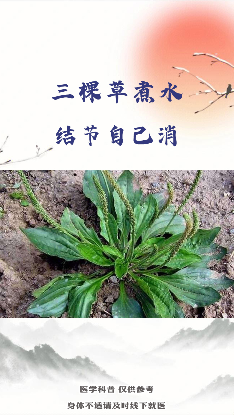 一个新手怎么开养生店唐三草的简单介绍