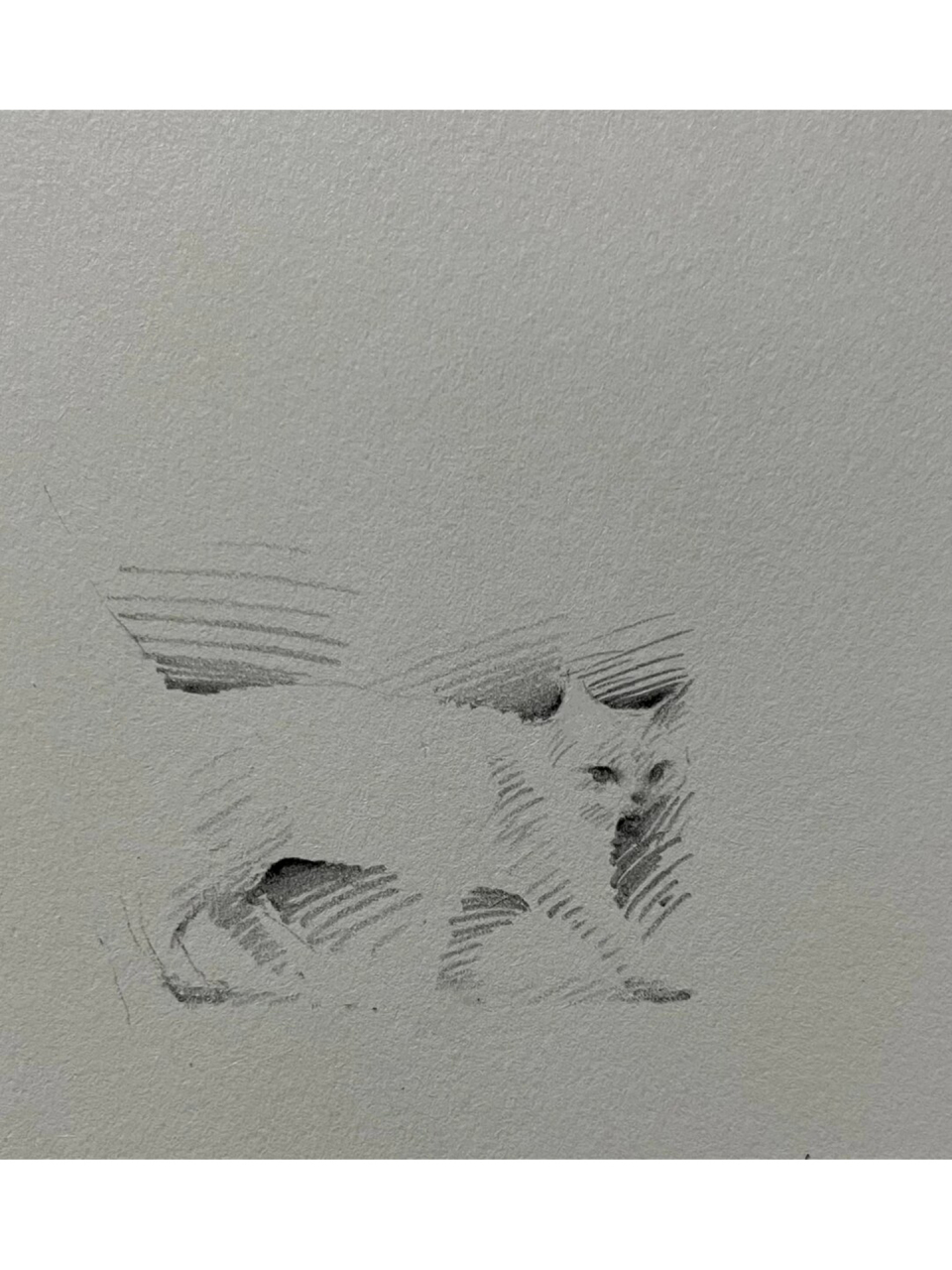 几笔小猫速写分享  只需几笔,就能画出一只超级可爱的小猫咪.