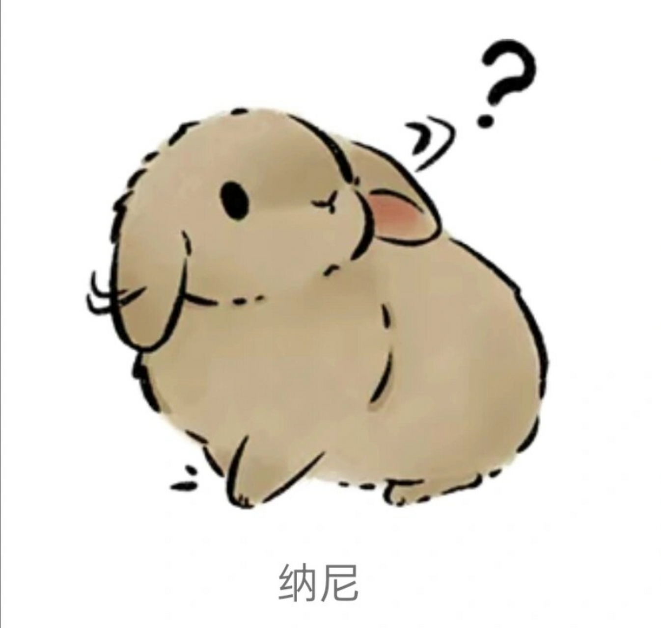 新版兔兔表情包,跃然指间,萌动心扉