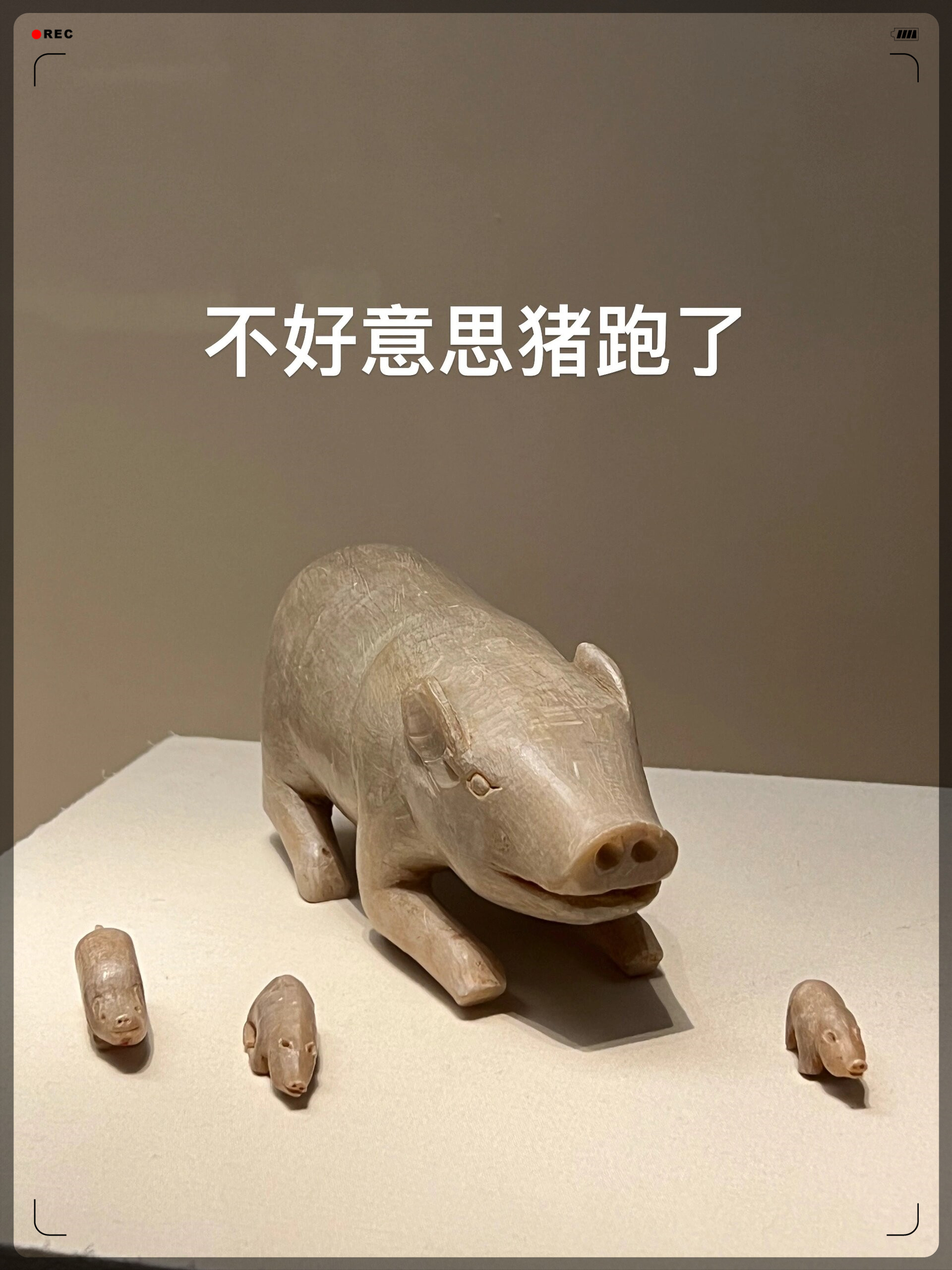 主要是为什么,国博的文物里还有猪圈啊 真的笑死我了 #我要上热门
