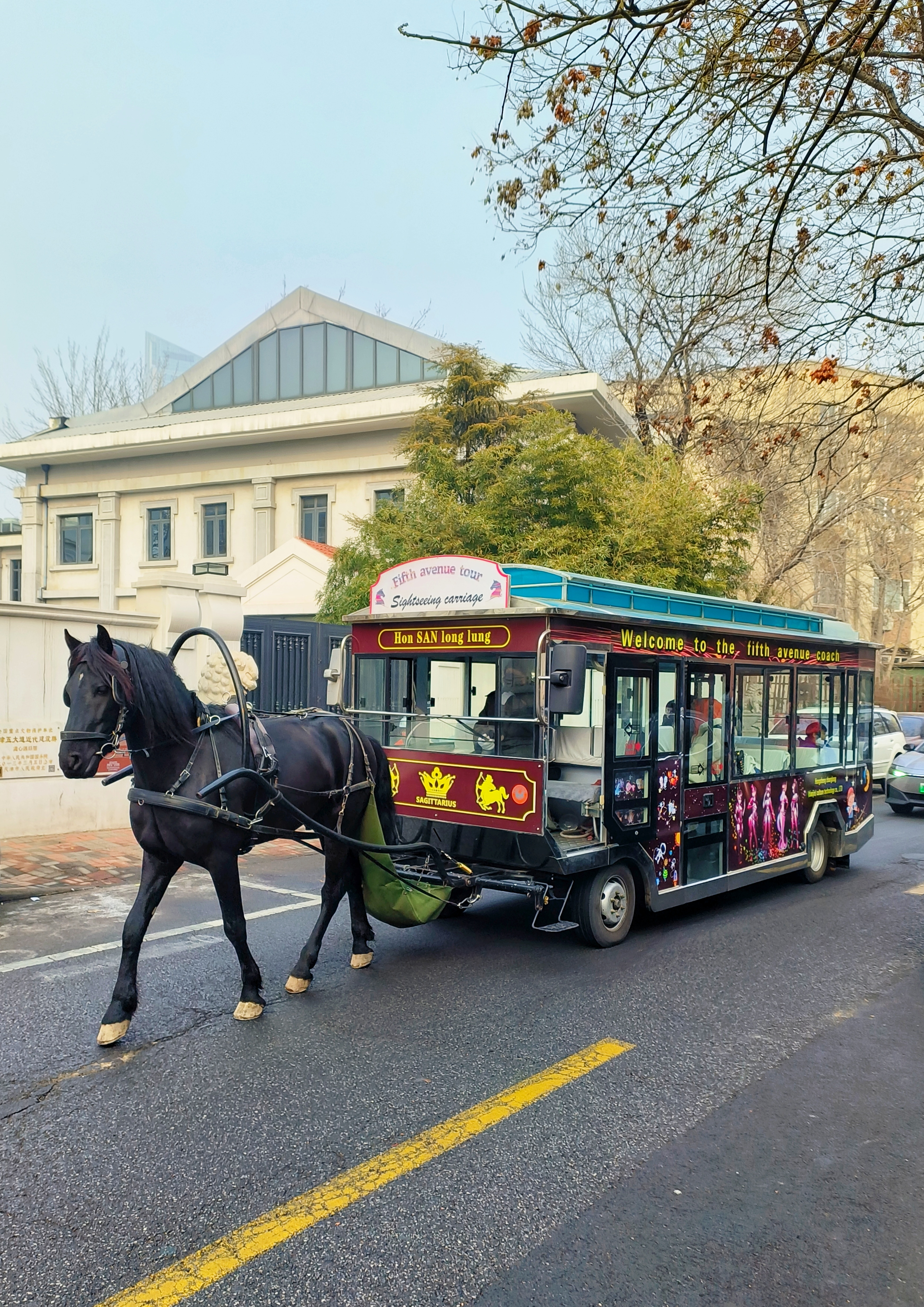 五大道马车路线图图片