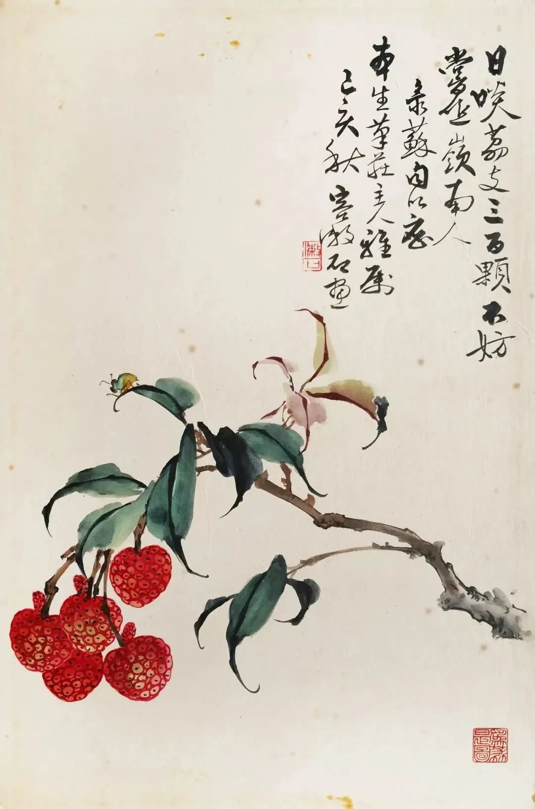 容漱石国画荔枝赏析