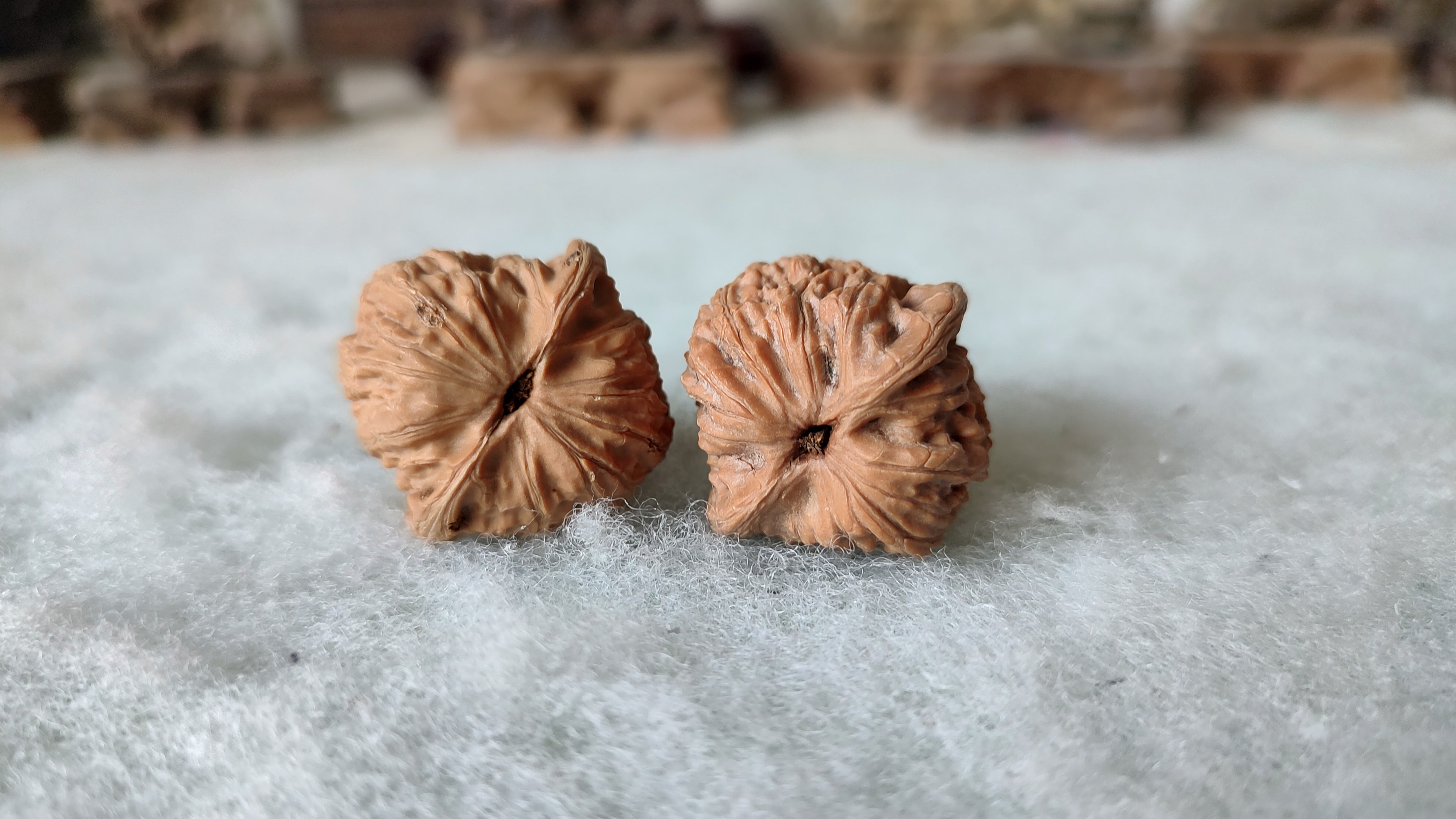 风氏文玩收藏馆:0089 麻核桃 公子帽