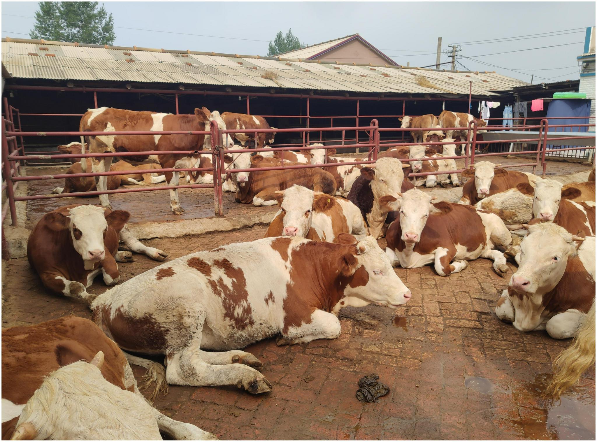 超实用干货分享快收藏