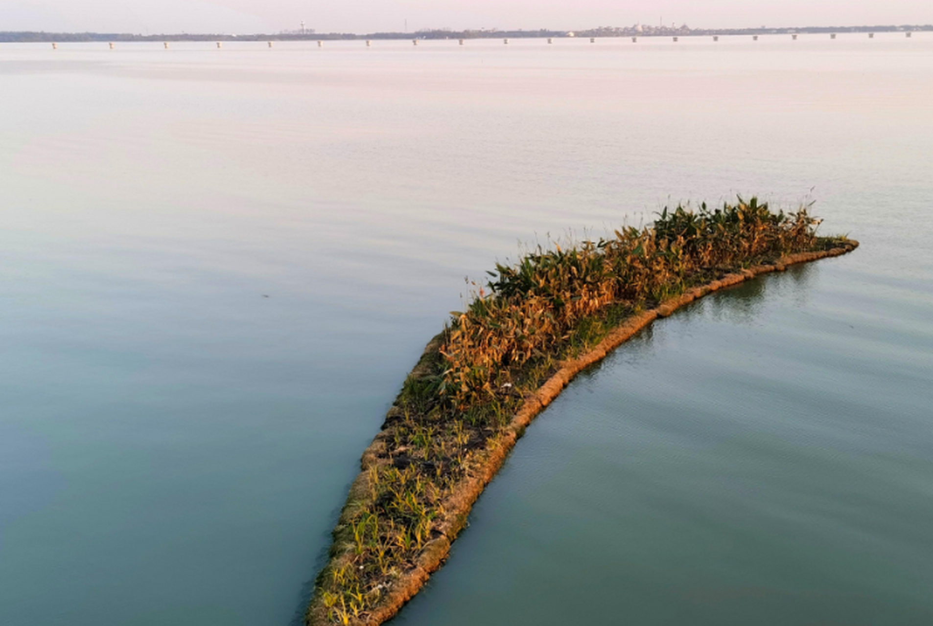 元荡湖位于上海与苏州交界处,是长江三角洲的重要生态保护区.