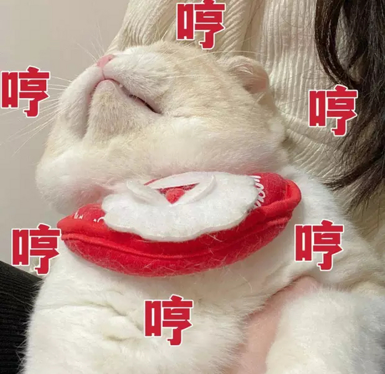 有位记者采访一路上的一行人,请问:中国人平均收入是