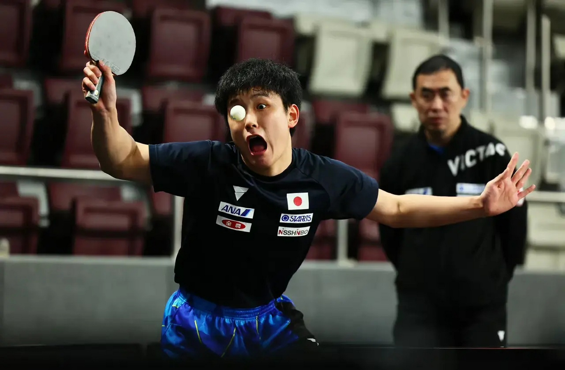 张本智和你是比赛的还是搞笑的,这大嘴真的可以:不用喊,直接吃乒乓球