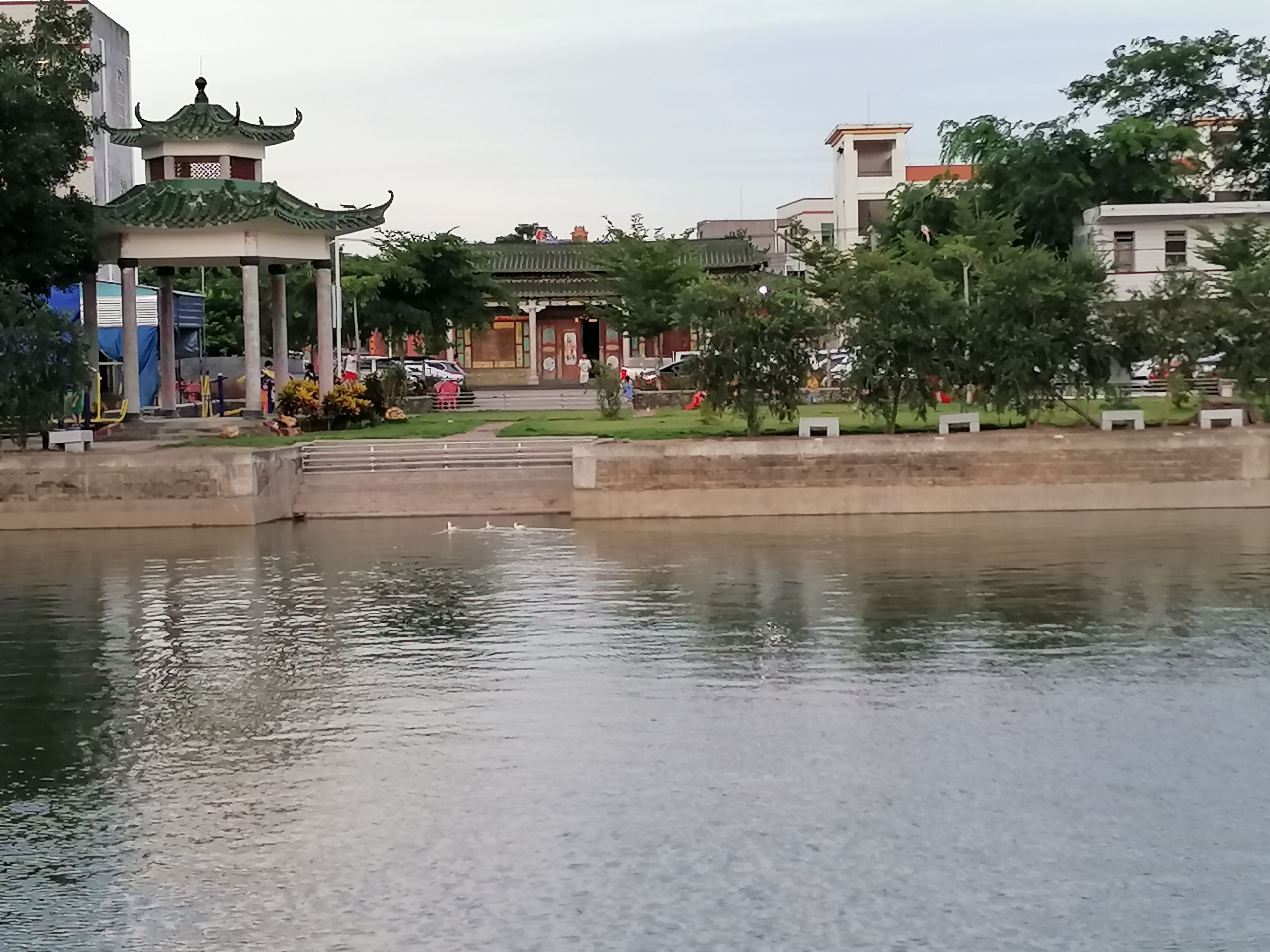 这些年,政府部门对乡村振兴工作非常重视,农村的面貌也发生了可喜的