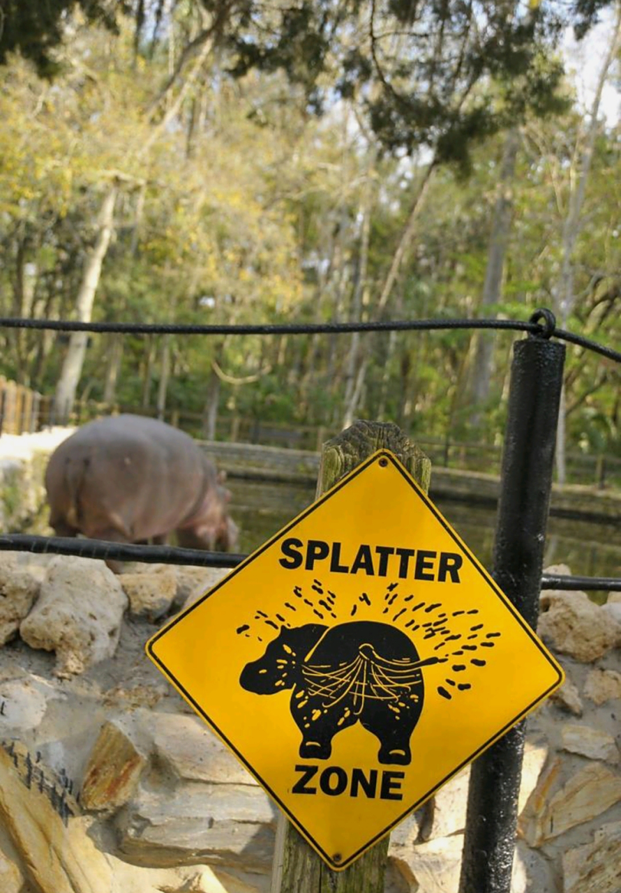 当河马拉便便时,一定要,远离,远离