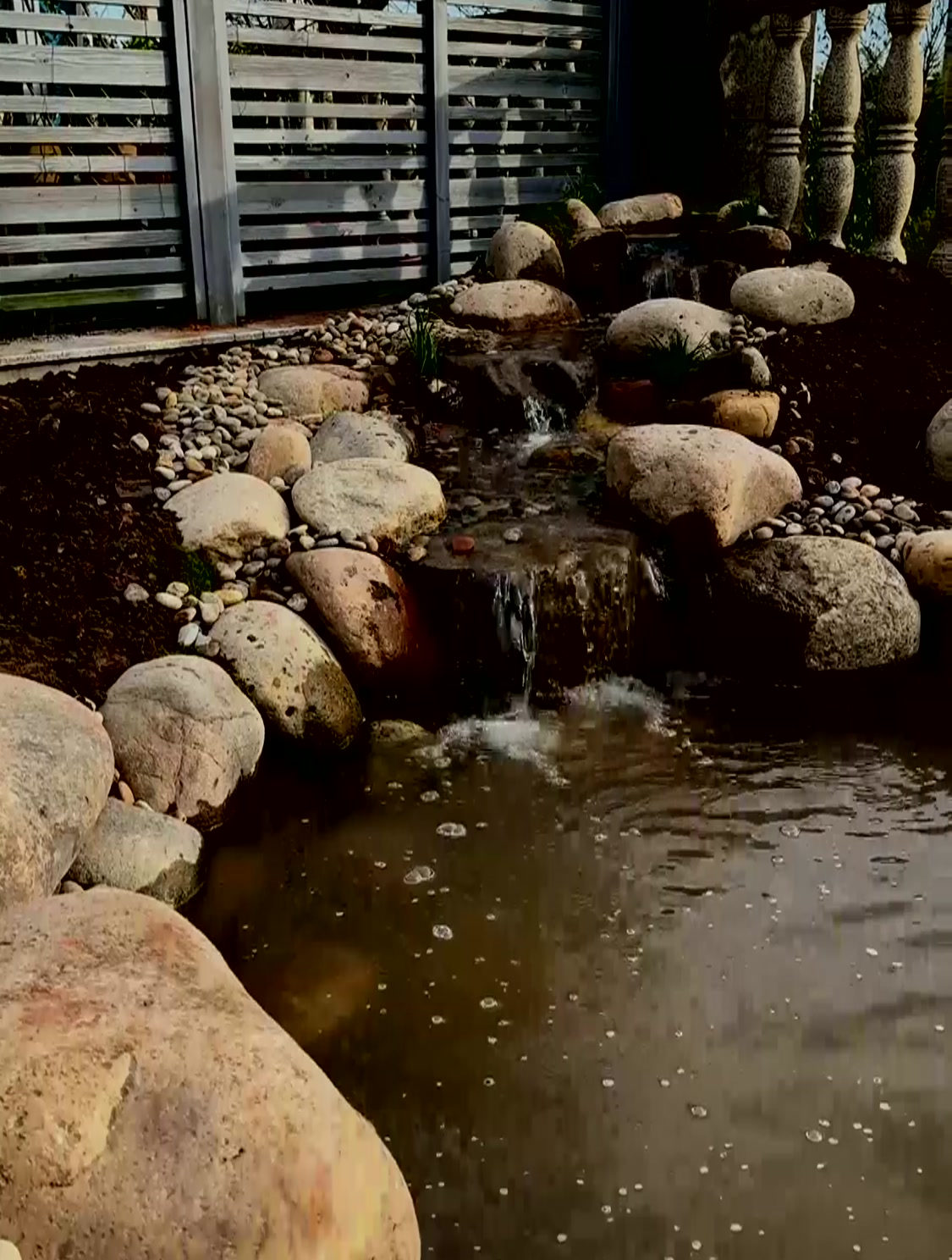 生态鱼池原生造景完工