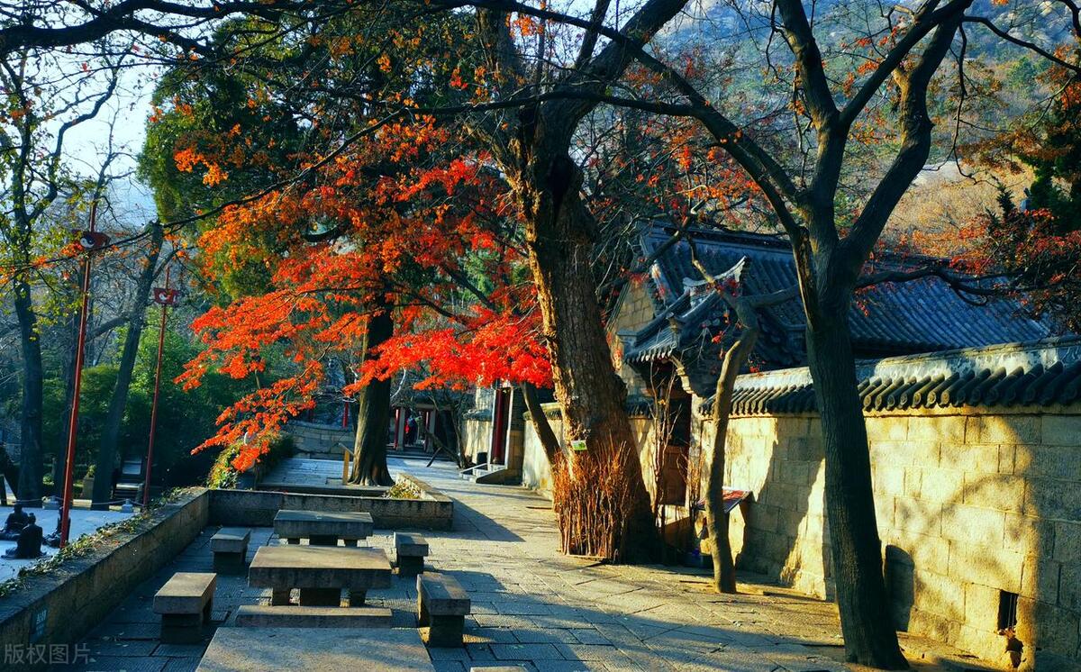 青岛1月旅游攻略,十大最佳景点推荐,周边游好去处