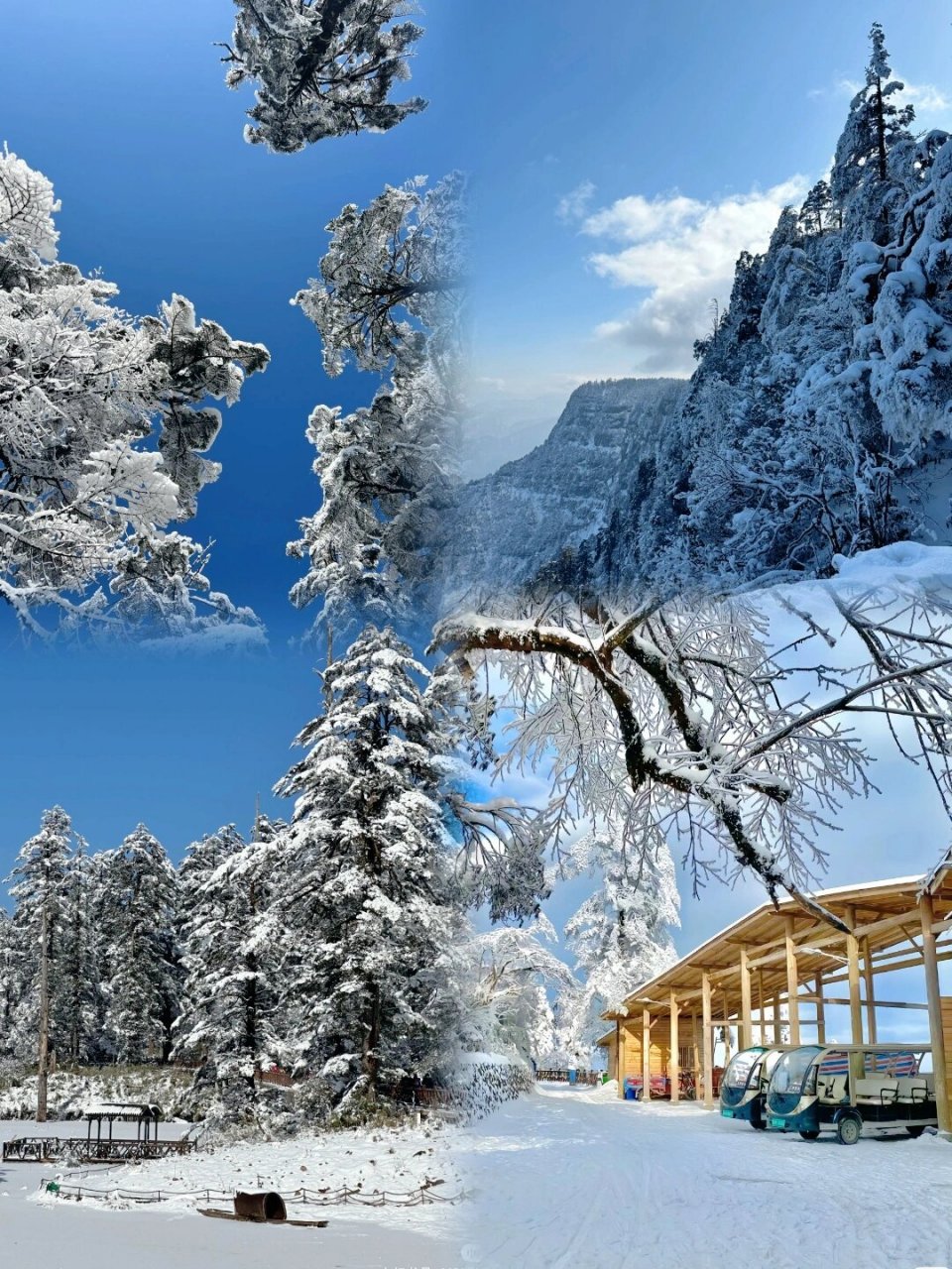 瓦屋山美景  瓦屋山已经迎来了冬季的颜值巅峰!