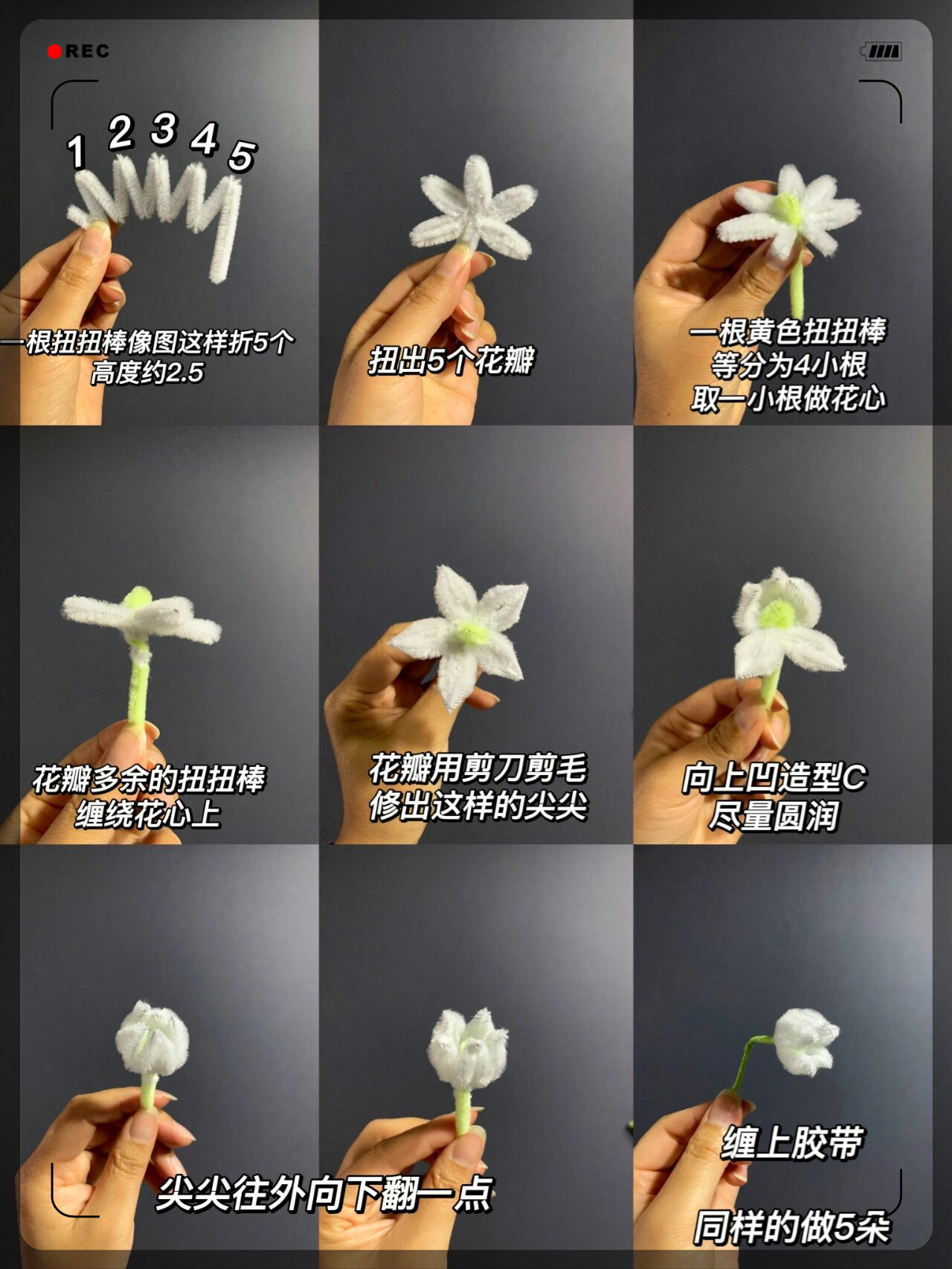 美丽的花朵制作方法图片