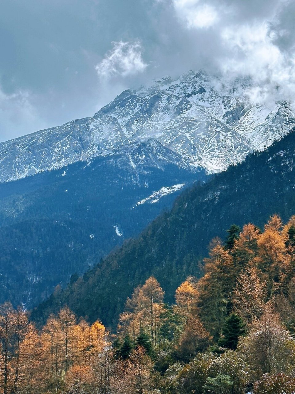 云南哈巴雪山图片