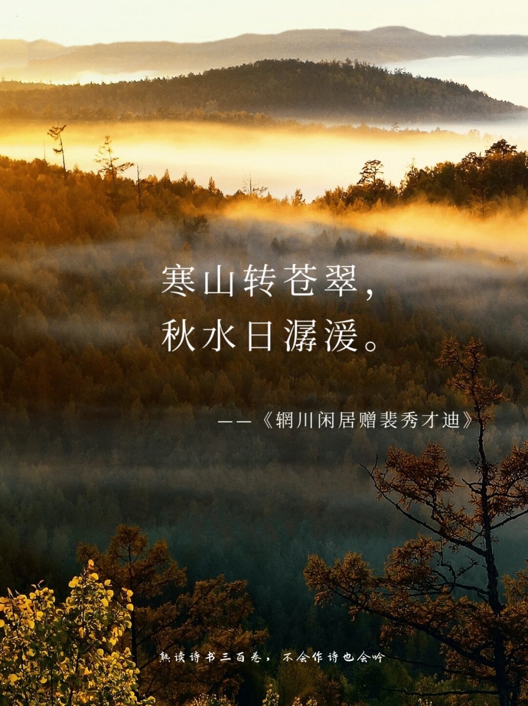 王维诗里的秋天,清净禅意,恬静静谧