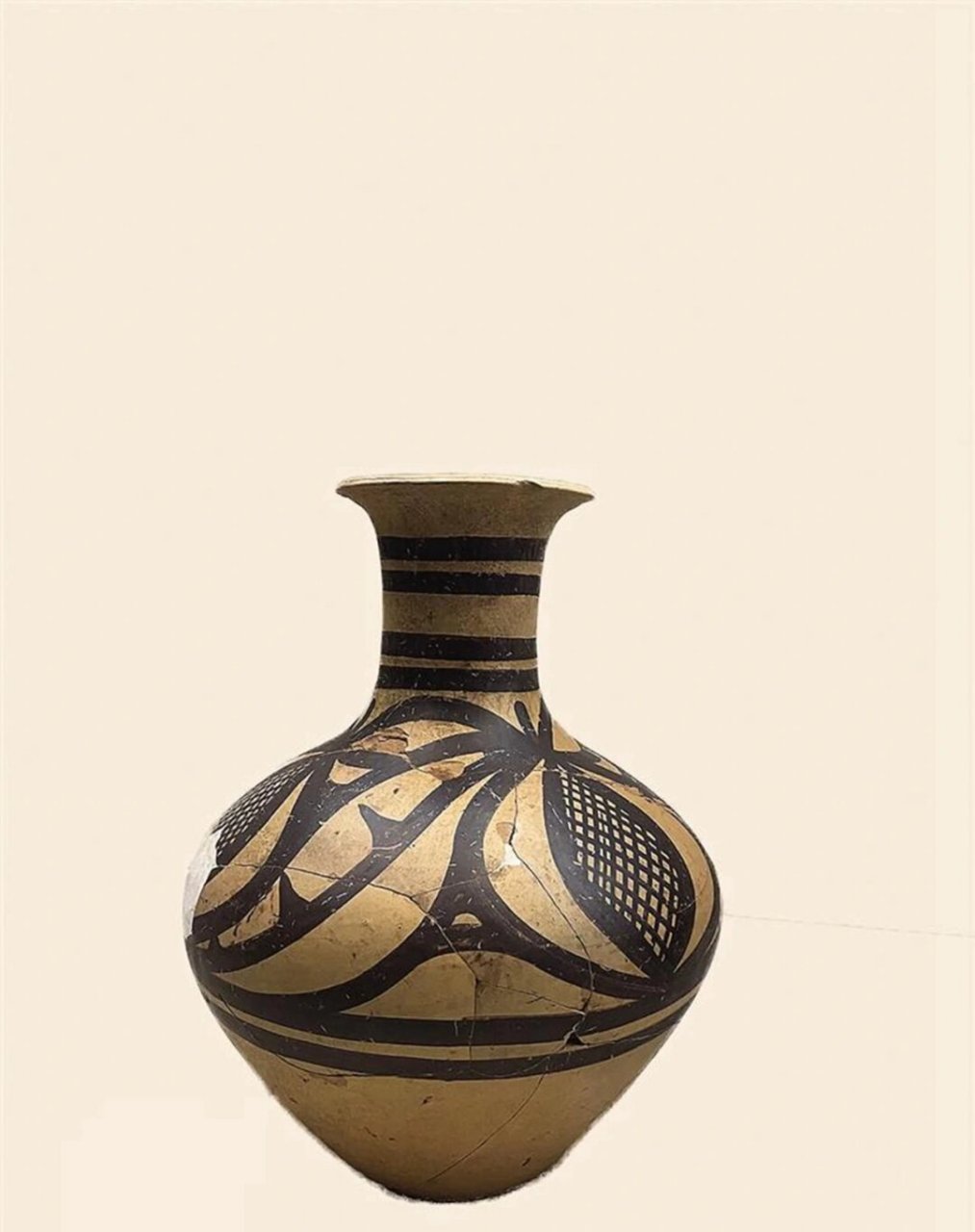 中美史名词解释9—马家窑文化彩陶  马家窑文化半山类型彩陶,因在甘肃