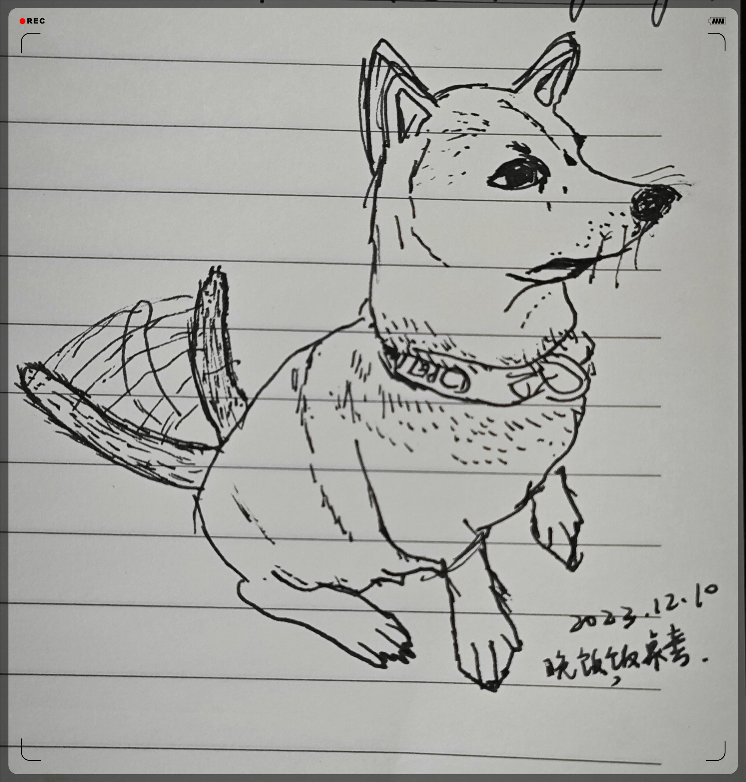 嘤嘤怪的日常,丽水话涂鸦记~  大家好呀!