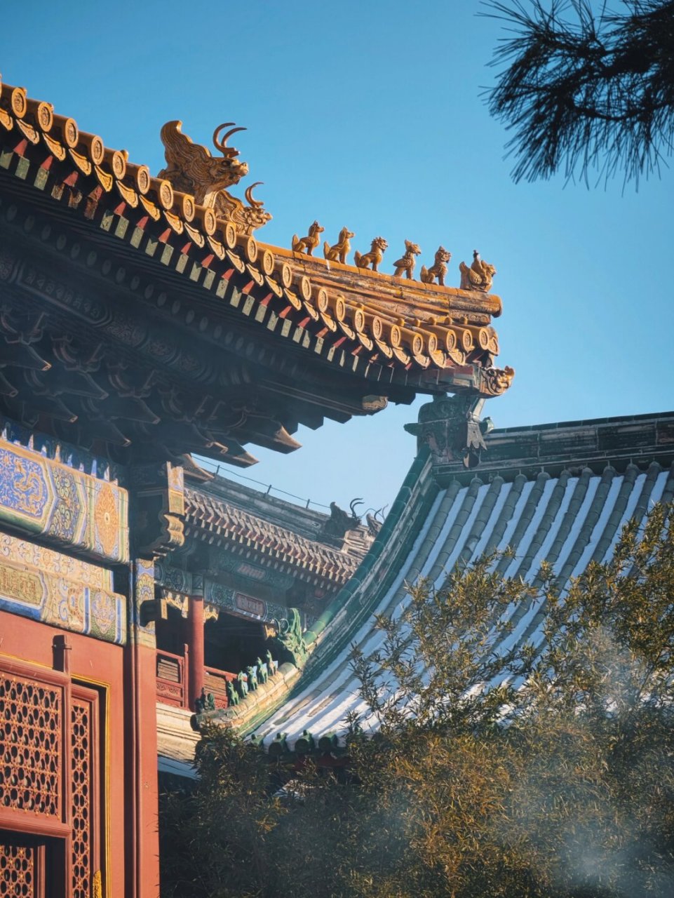 雍和宫 雍和佛光  雍和宫大殿的光,是那种能让人心灵得到洗礼的光芒.