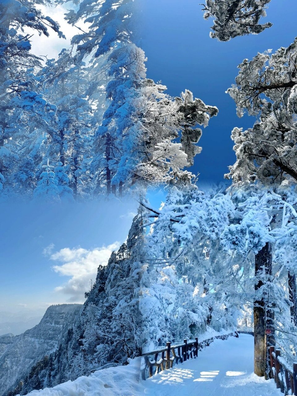 瓦屋山美景  瓦屋山已经迎来了冬季的颜值巅峰!