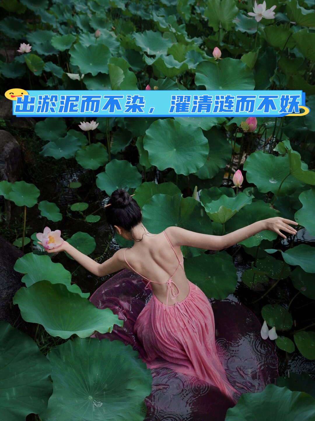这样拍出来的照片会更加出片陈漫摄影作品刘亦菲睡莲系列洗澡纱裙