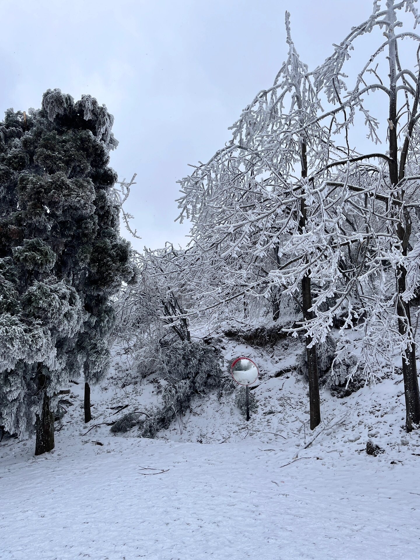 推荐一个南方人看雪最省时省力省钱的选择 衡山